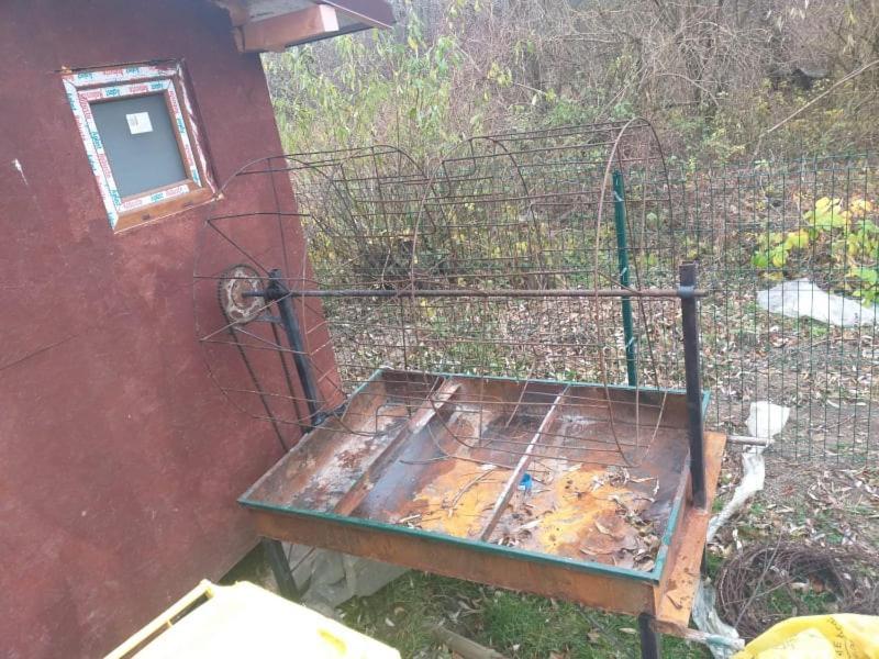 Popasul Dacilor Predelut Exterior foto