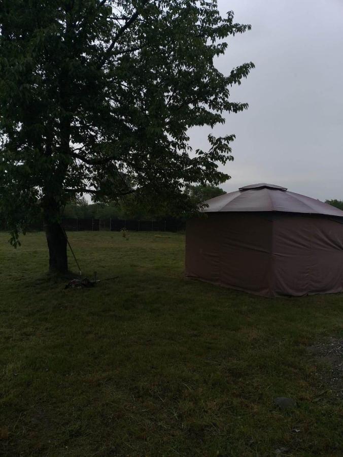 Popasul Dacilor Predelut Exterior foto